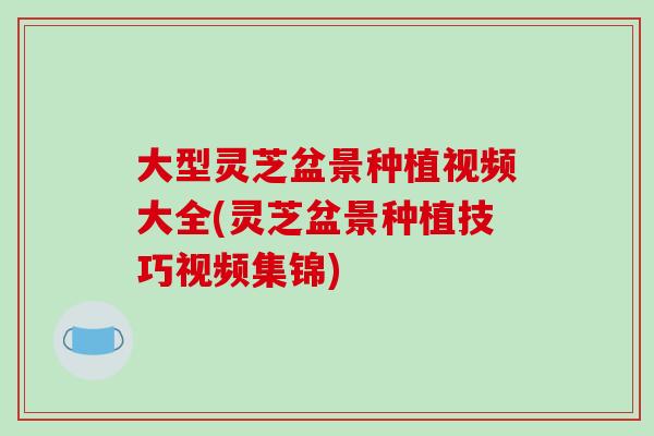 大型灵芝盆景种植视频大全(灵芝盆景种植技巧视频集锦)