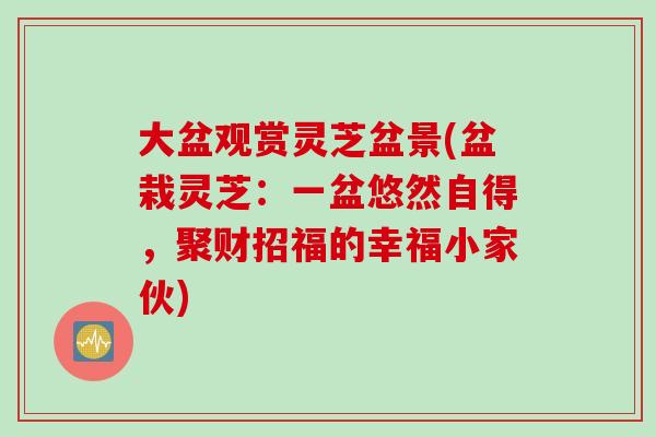 大盆观赏灵芝盆景(盆栽灵芝：一盆悠然自得，聚财招福的幸福小家伙)