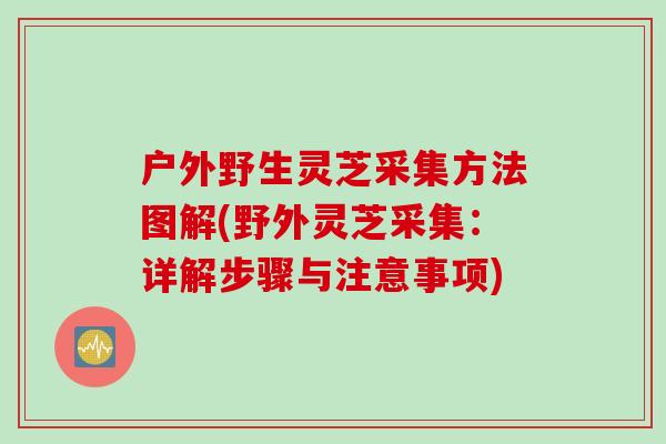 户外野生灵芝采集方法图解(野外灵芝采集:详解步骤与注意事项) 户外野生灵芝采集方法图解(野外灵芝采集:详解步骤与注意事项)