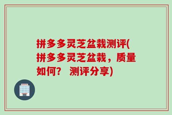 拼多多灵芝盆栽测评(拼多多灵芝盆栽,质量如何? 测评分享) 拼多多灵芝盆栽测评(拼多多灵芝盆栽,质量如何? 测评分享)