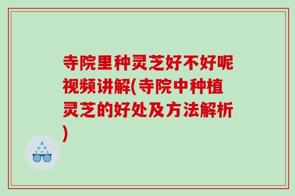 寺院里种灵芝好不好呢视频讲解(寺院中种植灵芝的好处及方法解析)