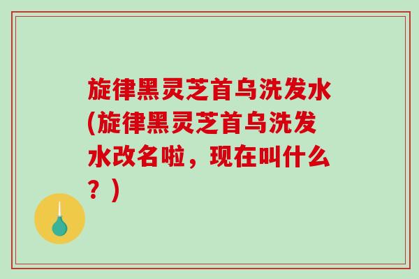 旋律黑灵芝首乌洗发水(旋律黑灵芝首乌洗发水改名啦，现在叫什么？)