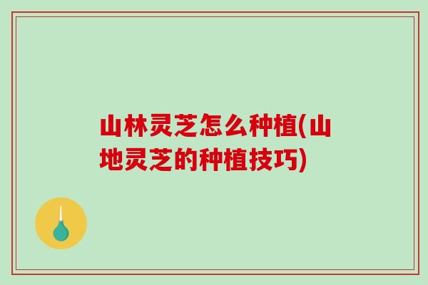山林灵芝怎么种植(山地灵芝的种植技巧)