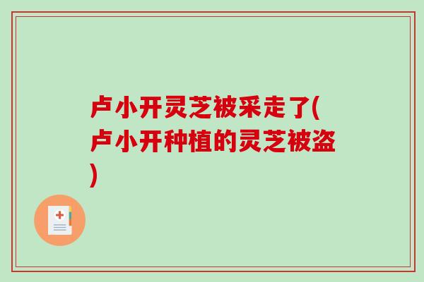 卢小开灵芝被采走了(卢小开种植的灵芝被盗)