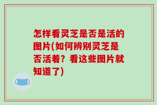 怎样看灵芝是否是活的图片(如何辨别灵芝是否活着？看这些图片就知道了)