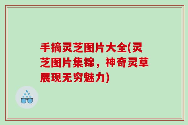 手摘灵芝图片大全(灵芝图片集锦，神奇灵草展现无穷魅力)