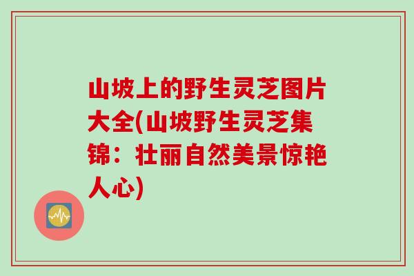 山坡上的野生灵芝图片大全(山坡野生灵芝集锦：壮丽自然美景惊艳人心)