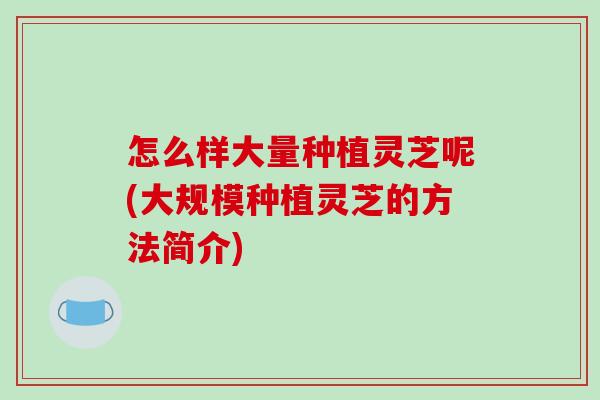 怎么样大量种植灵芝呢(大规模种植灵芝的方法简介)