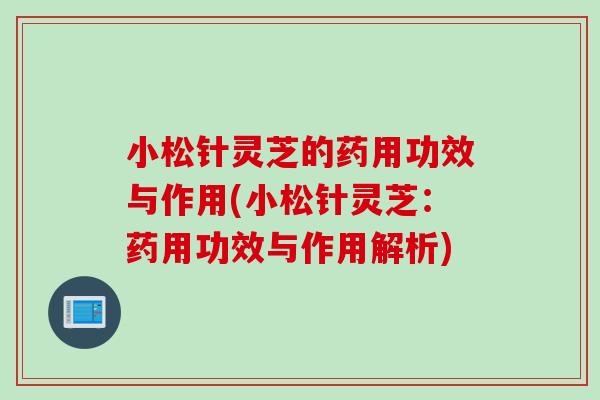 小松针灵芝的药用功效与作用(小松针灵芝：药用功效与作用解析)