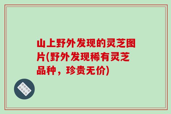 山上野外发现的灵芝图片(野外发现稀有灵芝品种，珍贵无价)