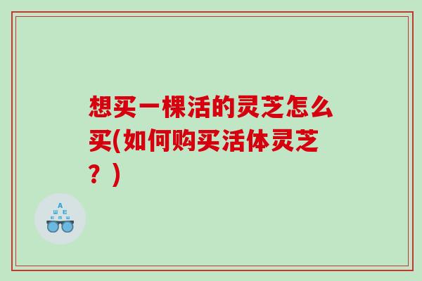 想买一棵活的灵芝怎么买(如何购买活体灵芝？)