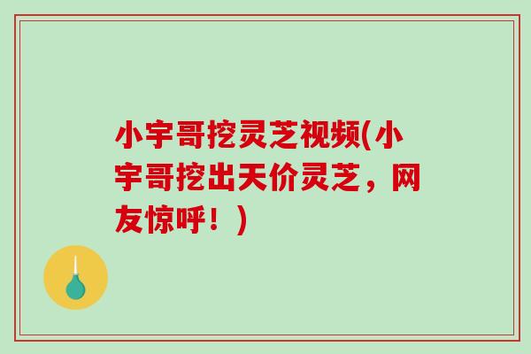 小宇哥挖灵芝视频(小宇哥挖出天价灵芝，网友惊呼！)