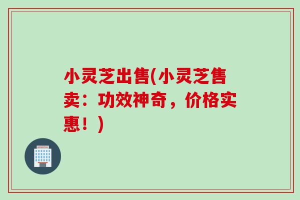 小灵芝出售(小灵芝售卖：功效神奇，价格实惠！)