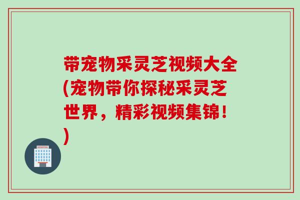 带宠物采灵芝视频大全(宠物带你探秘采灵芝世界，精彩视频集锦！)