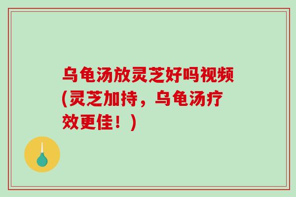 乌龟汤放灵芝好吗视频(灵芝加持，乌龟汤疗效更佳！)