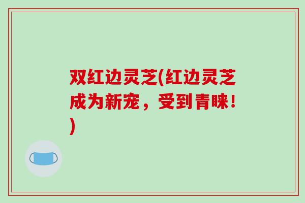 双红边灵芝(红边灵芝成为新宠，受到青睐！)