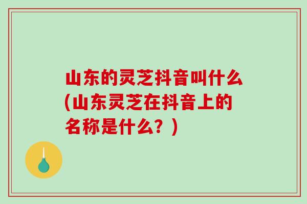 山东的灵芝抖音叫什么(山东灵芝在抖音上的名称是什么？)