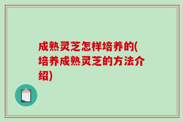 成熟灵芝怎样培养的(培养成熟灵芝的方法介绍)
