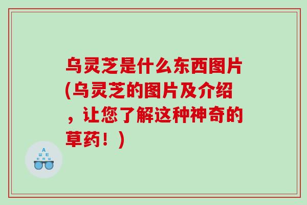 乌灵芝是什么东西图片(乌灵芝的图片及介绍，让您了解这种神奇的草药！)