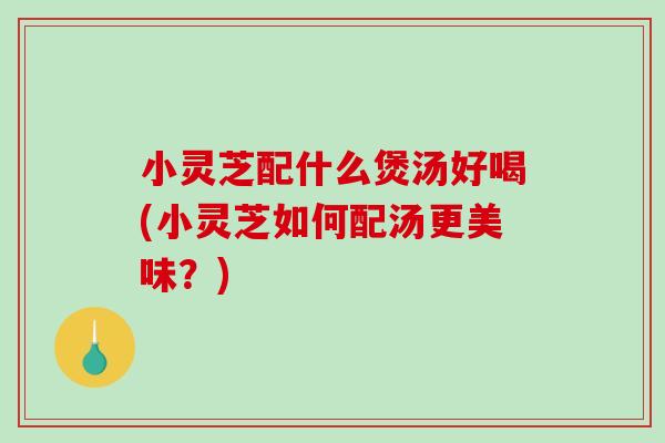 小灵芝配什么煲汤好喝(小灵芝如何配汤更美味？)
