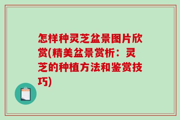 怎样种灵芝盆景图片欣赏(精美盆景赏析：灵芝的种植方法和鉴赏技巧)