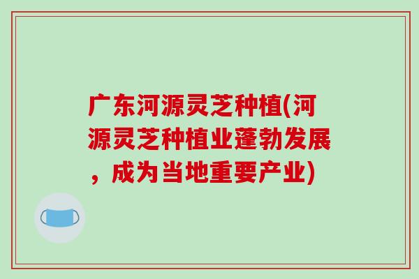 广东河源灵芝种植(河源灵芝种植业蓬勃发展，成为当地重要产业)
