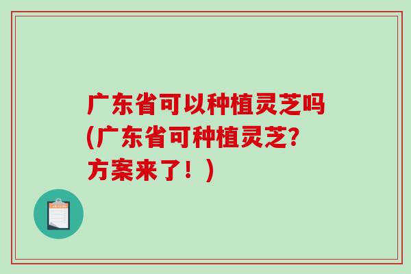 广东省可以种植灵芝吗(广东省可种植灵芝？方案来了！)