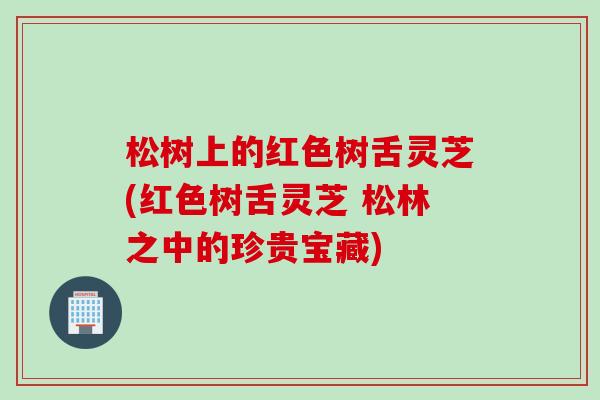 松树上的红色树舌灵芝(红色树舌灵芝 松林之中的珍贵宝藏)