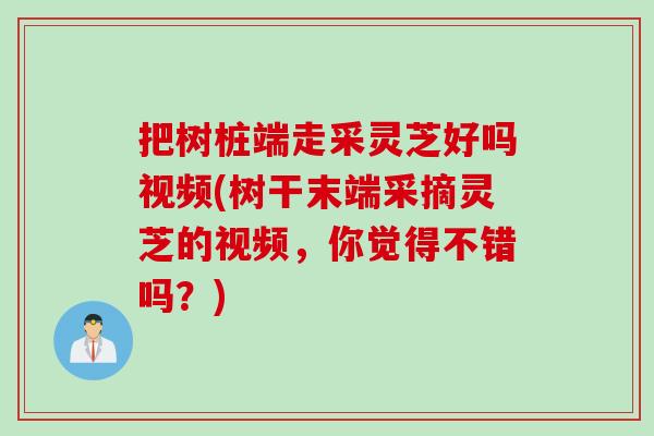把树桩端走采灵芝好吗视频(树干末端采摘灵芝的视频，你觉得不错吗？)