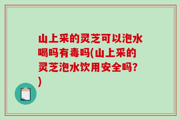 山上采的灵芝可以泡水喝吗有毒吗(山上采的灵芝泡水饮用安全吗？)