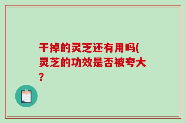 干掉的灵芝还有用吗(灵芝的功效是否被夸大？
