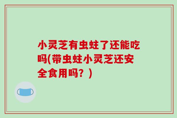小灵芝有虫蛀了还能吃吗(带虫蛀小灵芝还安全食用吗？)