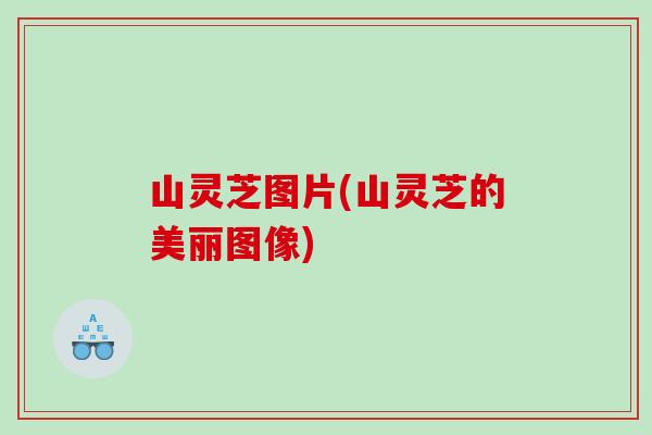 山灵芝图片(山灵芝的美丽图像)