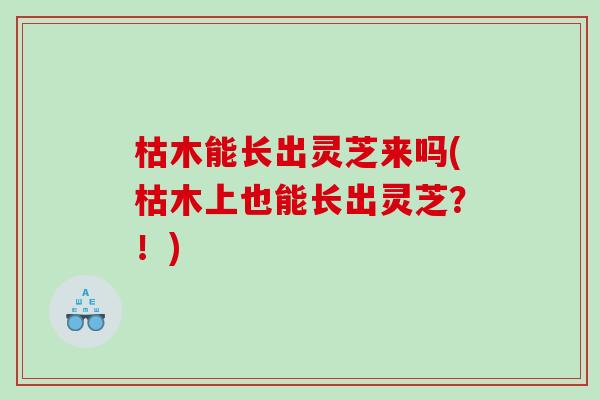 枯木能长出灵芝来吗(枯木上也能长出灵芝？！)