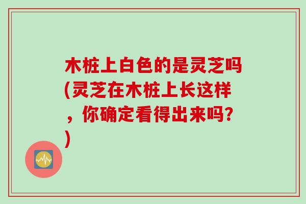 木桩上白色的是灵芝吗(灵芝在木桩上长这样，你确定看得出来吗？)
