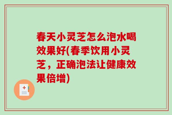 春天小灵芝怎么泡水喝效果好(春季饮用小灵芝，正确泡法让健康效果倍增)