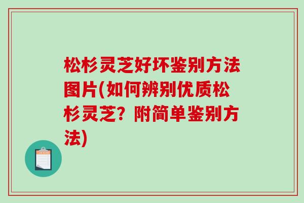 松杉灵芝好坏鉴别方法图片(如何辨别优质松杉灵芝？附简单鉴别方法)