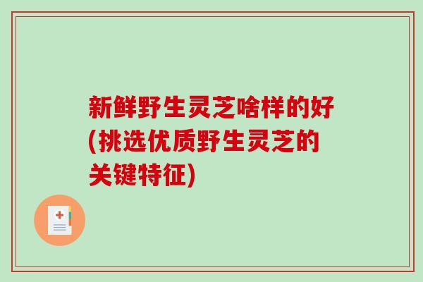 新鲜野生灵芝啥样的好(挑选优质野生灵芝的关键特征)