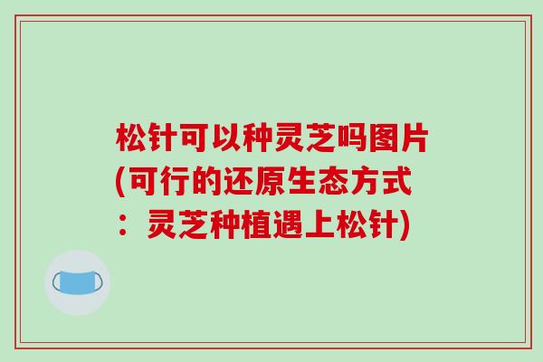 松针可以种灵芝吗图片(可行的还原生态方式：灵芝种植遇上松针)