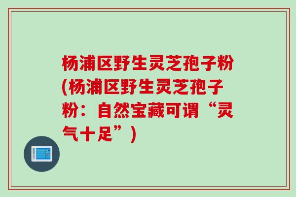 杨浦区野生灵芝孢子粉(杨浦区野生灵芝孢子粉：自然宝藏可谓“灵气十足”)