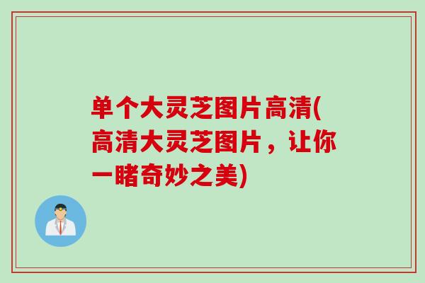单个大灵芝图片高清(高清大灵芝图片,让你一睹奇妙之美) 单个大灵芝图片高清(高清大灵芝图片,让你一睹奇妙之美)