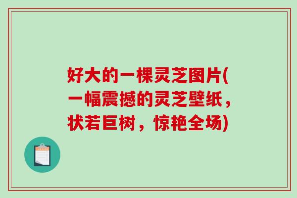 好大的一棵灵芝图片(一幅震撼的灵芝壁纸，状若巨树，惊艳全场)