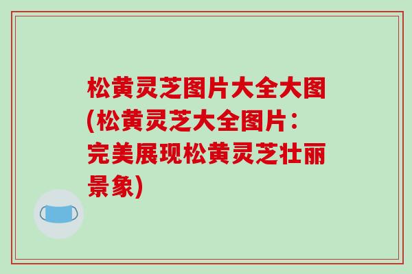 松黄灵芝图片大全大图(松黄灵芝大全图片:完美展现松黄灵芝壮丽景象) 松黄灵芝图片大全大图(松黄灵芝大全图片:完美展现松黄灵芝壮丽景象)