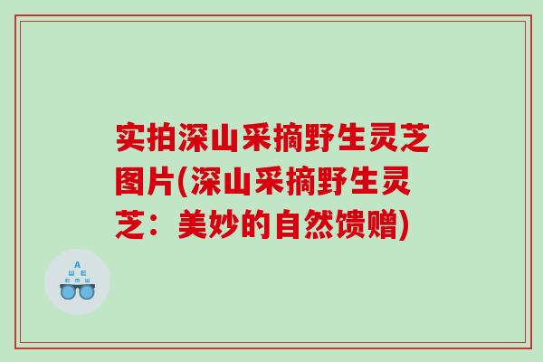 实拍深山采摘野生灵芝图片(深山采摘野生灵芝：美妙的自然馈赠)