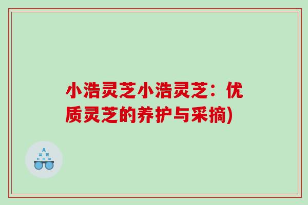 小浩灵芝小浩灵芝：优质灵芝的养护与采摘)