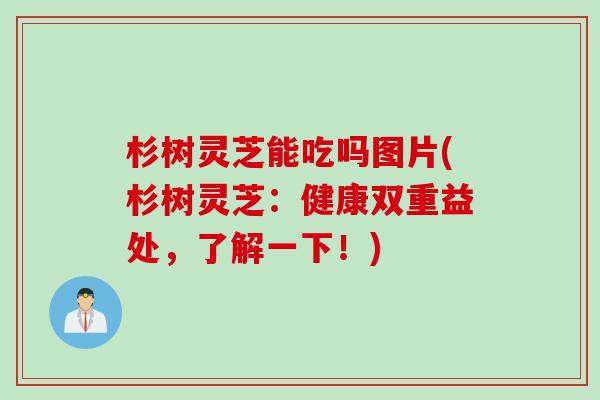 杉树灵芝能吃吗图片(杉树灵芝：健康双重益处，了解一下！)