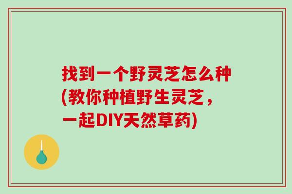 找到一个野灵芝怎么种(教你种植野生灵芝，一起DIY天然草药)