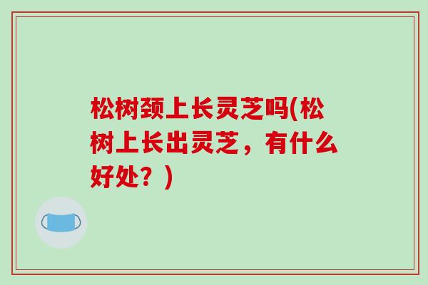 松树颈上长灵芝吗(松树上长出灵芝，有什么好处？)