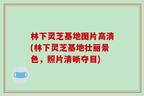 林下灵芝基地图片高清(林下灵芝基地壮丽景色，照片清晰夺目)