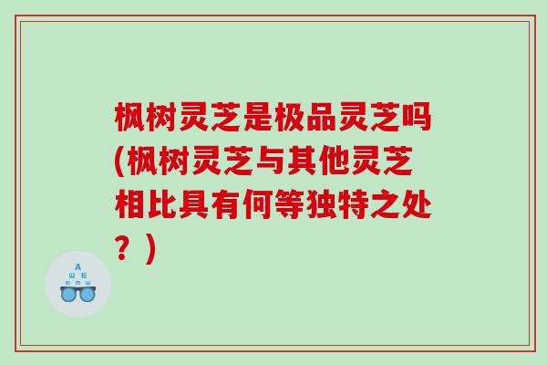 枫树灵芝是极品灵芝吗(枫树灵芝与其他灵芝相比具有何等独特之处？)